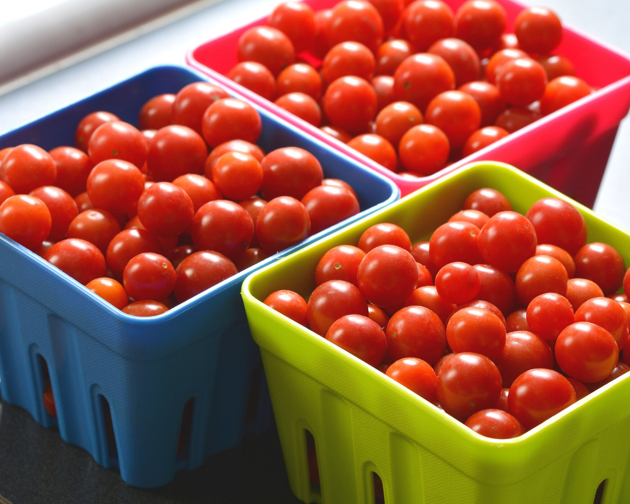 Candyland Red Tomato Seeds