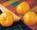 Carolina Gold Hybrid Tomato Seeds