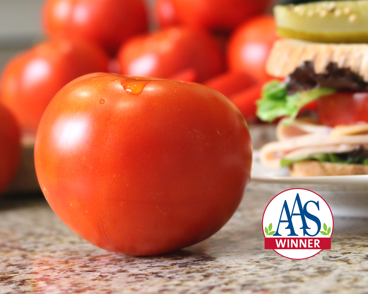Celebrity Plus Hybrid Tomato Seeds