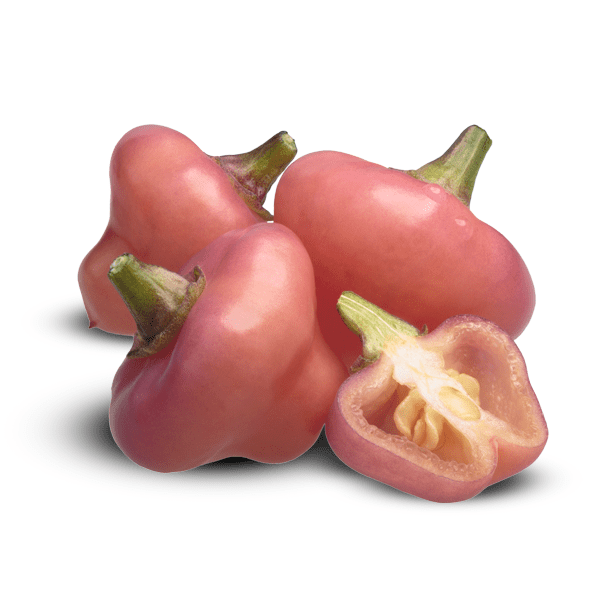 Cheiro Roxa Pepper Seeds (Non - Isolated)