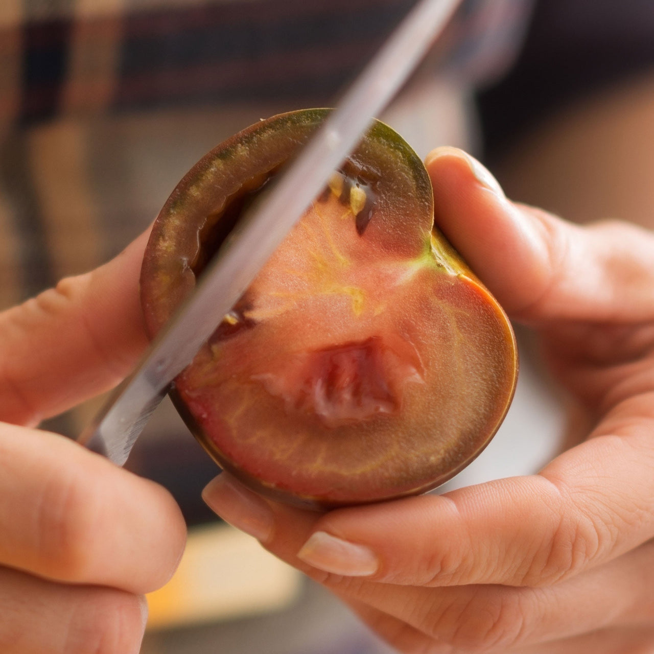 Cherokee Purple Tomato Seeds - The Pepper Pantry (Formerly Marie Sharp's)