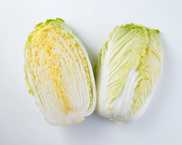 Chinese (Napa) Cabbage (Sui Choy) Seeds
