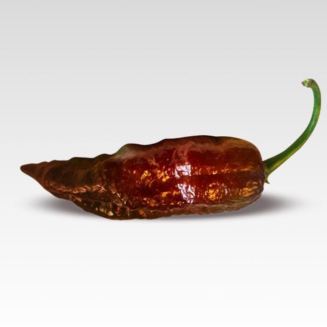 Chocolate Fatalii Pepper Seeds - The Pepper Pantry (Formerly Marie Sharp's)