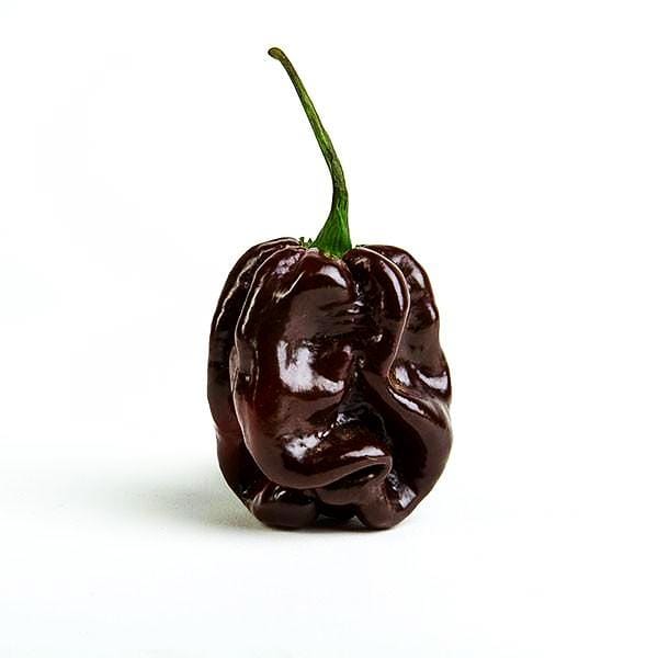 Chocolate Habanero Pepper Seeds - The Pepper Pantry (Formerly Marie Sharp's)