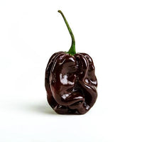 Chocolate Habanero Pepper Seeds - The Pepper Pantry (Formerly Marie Sharp's)