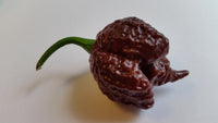 Chocolate Reaper - Seeds - The Pepper Pantry (Formerly Marie Sharp's)