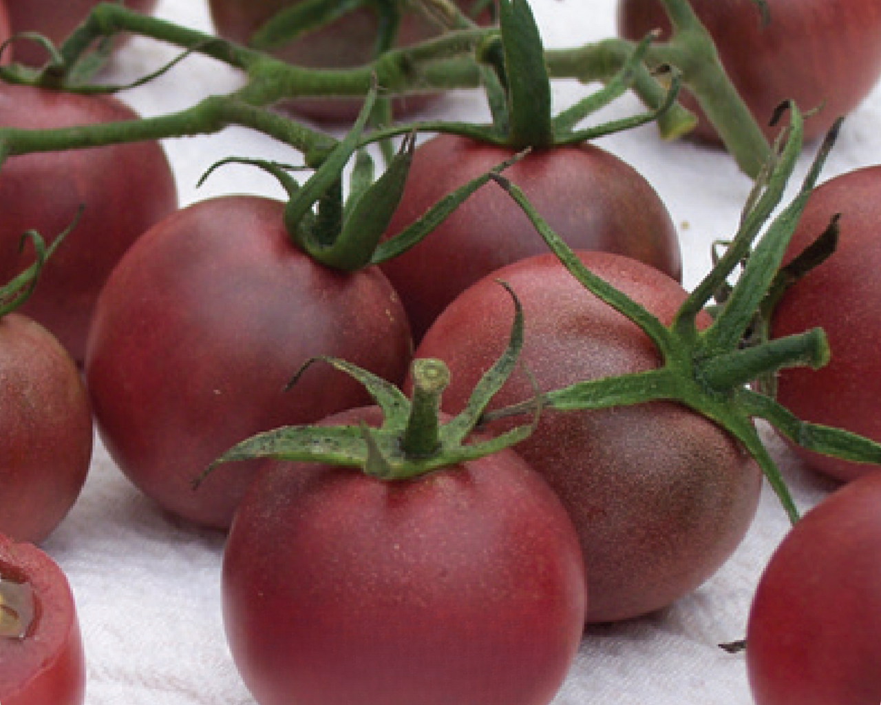 Chocolate Cherry Tomato Seeds