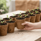 Coconut Fiber Round Pots - 2.25" (Pack of 12)