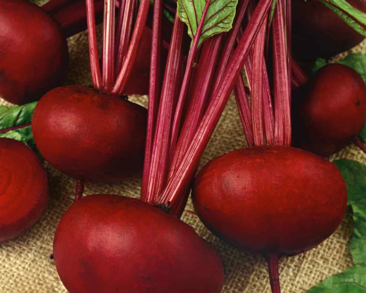 Crosby's Egyptian Beet Seeds