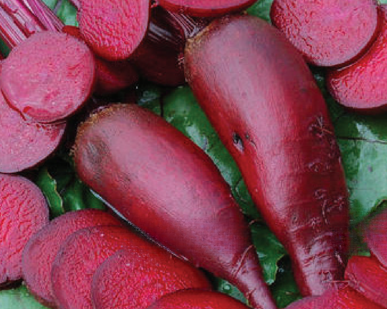 Cylindra Beet Seeds