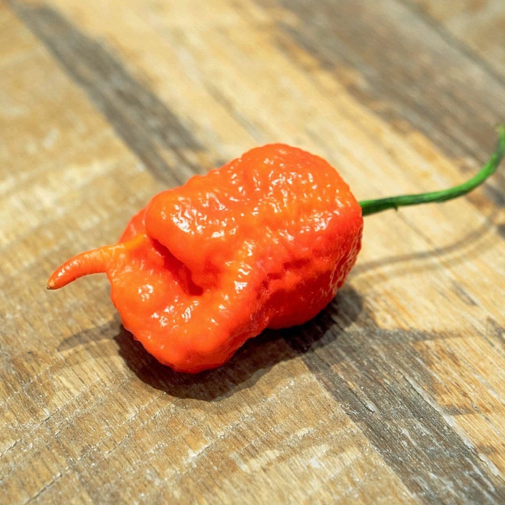 Death Spiral Pepper Seeds - The Pepper Pantry (Formerly Marie Sharp's)