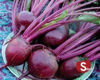 Detroit Dark Red Beet Seeds