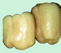 Diamond Ivory Pepper Seeds - The Pepper Pantry (Formerly Marie Sharp's)