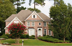 35 RED CREPE MYRTLE Lagerstroemia Indica Flowering Shrub Bush Small Tree Seeds