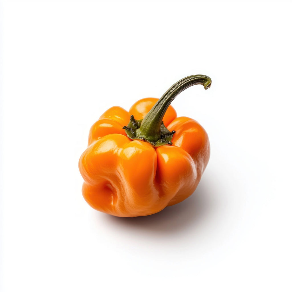 40 Orange SCOTCH BONNET PEPPER very hot Jamaican Capsicum Annuum Vegetable Seeds