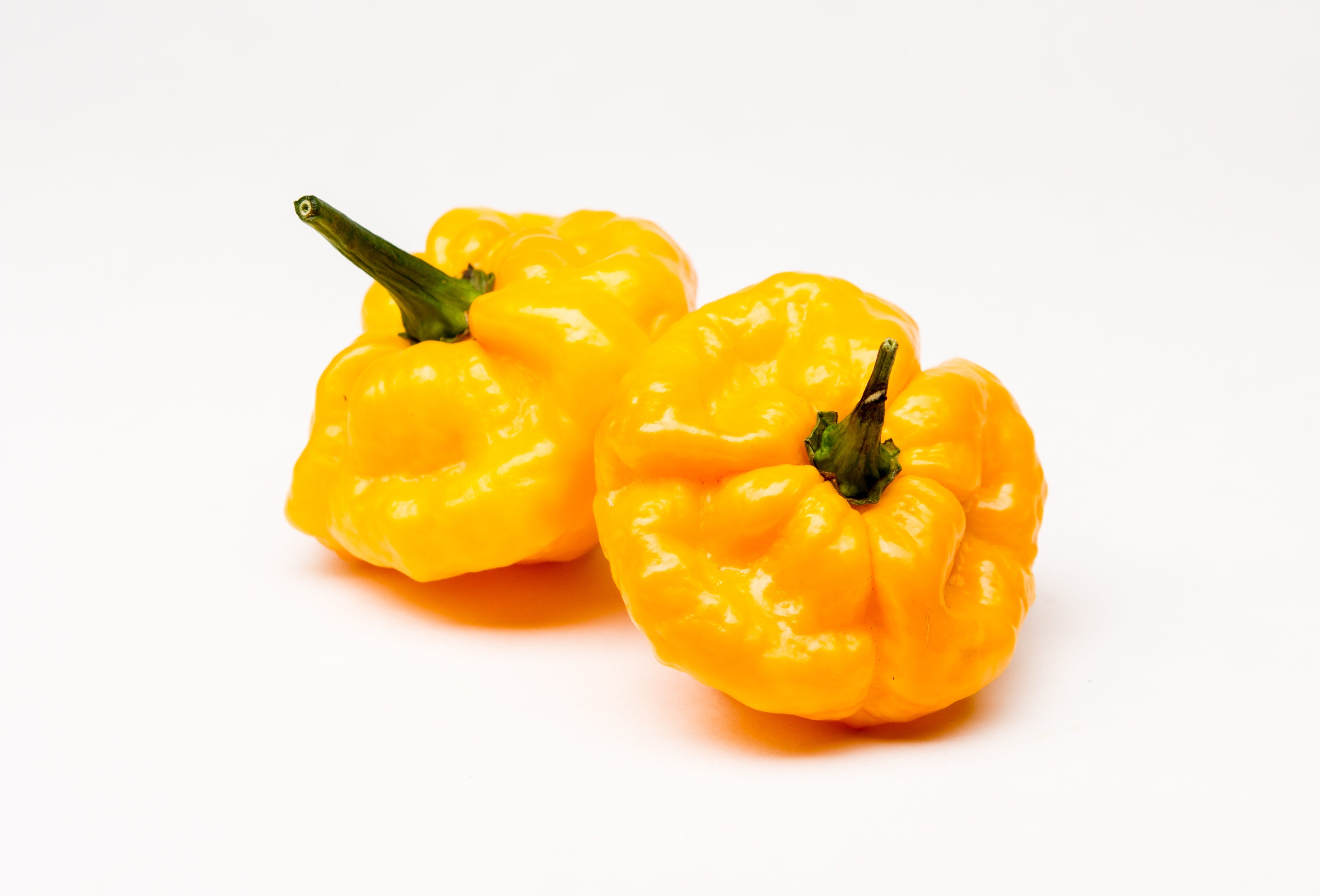 40 Yellow SCOTCH BONNET PEPPER very hot Jamaican Capsicum Annuum Vegetable Seeds
