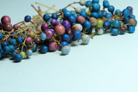 10 Variegated PORCELAIN BERRY VINE Ampelopsis Brevipedunculata Elegans Ampelopsis Glandulosa Amur Peppervine Blue Pink Purple Berries Seeds