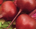 Early Wonder Beet Seeds