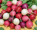 Easter Egg Blend Radish Seeds