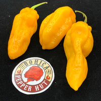 Fools Gold Scorpion - Seeds - The Pepper Pantry (Formerly Marie Sharp's)