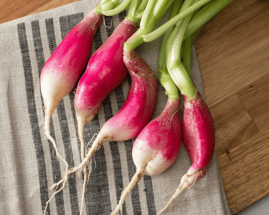 French Breakfast Radish Seeds
