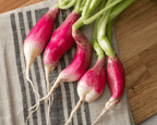French Breakfast Radish Seeds
