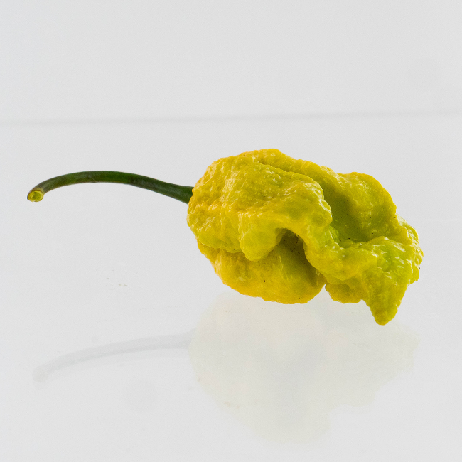 Golden Reaper Pepper Seeds