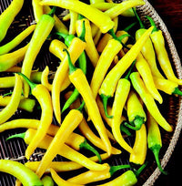 Golden Cayenne