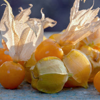 Goldie Husk Tomatillo Seeds - The Pepper Pantry (Formerly Marie Sharp's)