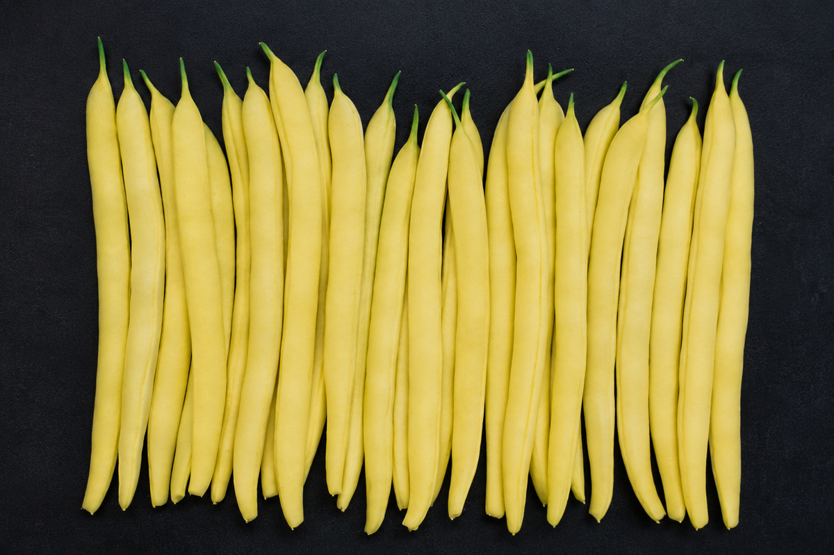 Gold Mine Wax Bean Seeds