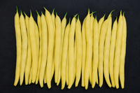 Gold Mine Wax Bean Seeds