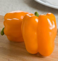 Gourmet F1 Pepper Seeds - The Pepper Pantry (Formerly Marie Sharp's)