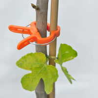 Zenport Vine & Branch Clip, Small
