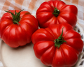 Grandma's Pick Hybrid Tomato Seeds