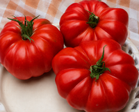 Grandma's Pick Hybrid Tomato Seeds