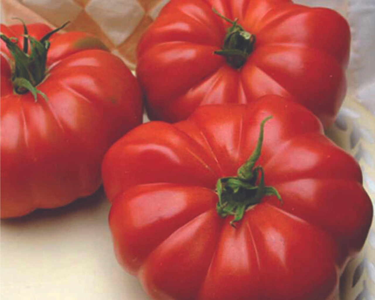 Grandma's Pick Hybrid Tomato Seeds