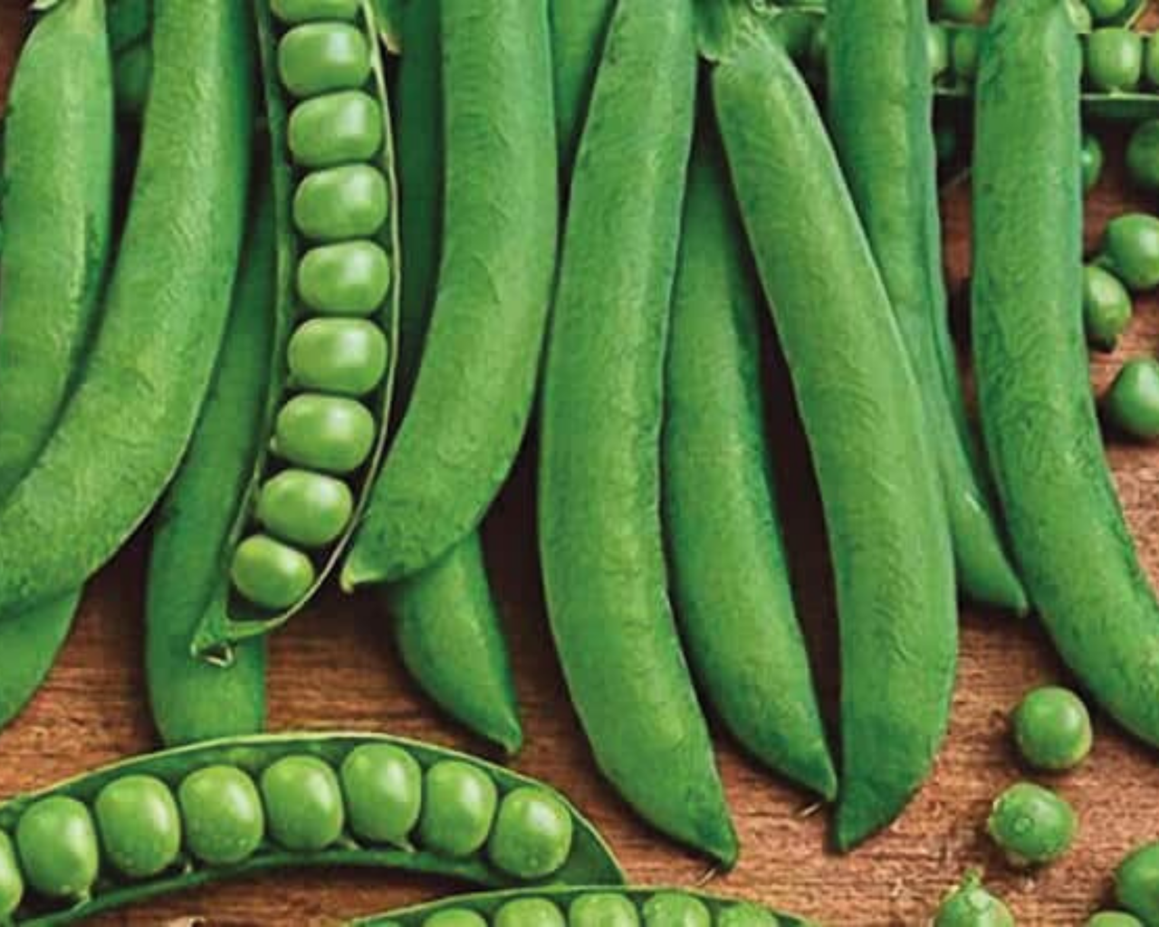 Green Arrow Pea Seeds