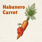 Habanero Carrot Hot Sauce