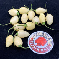 Habanero Yucatan White - Seeds - The Pepper Pantry (Formerly Marie Sharp's)