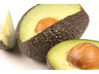 Hass [California] Avocado Tree, Grafted