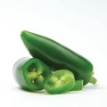 Heatless Jalapeno Pepper Seeds