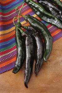 Holy Mole Pepper Seeds - The Pepper Pantry (Formerly Marie Sharp's)