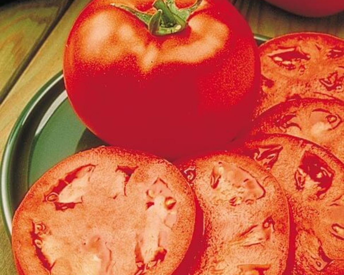 Homestead 24 Tomato Seeds