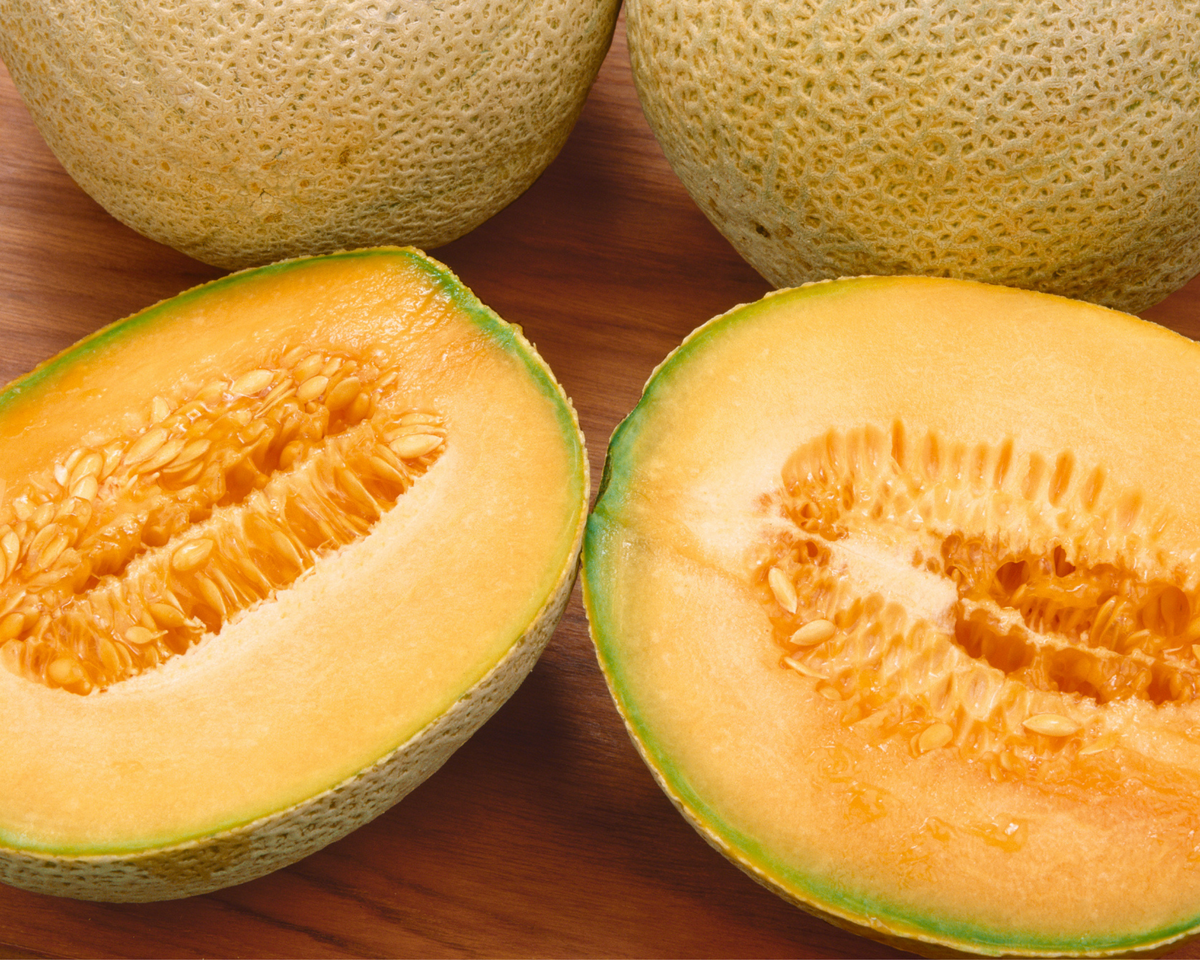 Honey Rock Melon Seeds