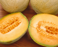 Honey Rock Melon Seeds