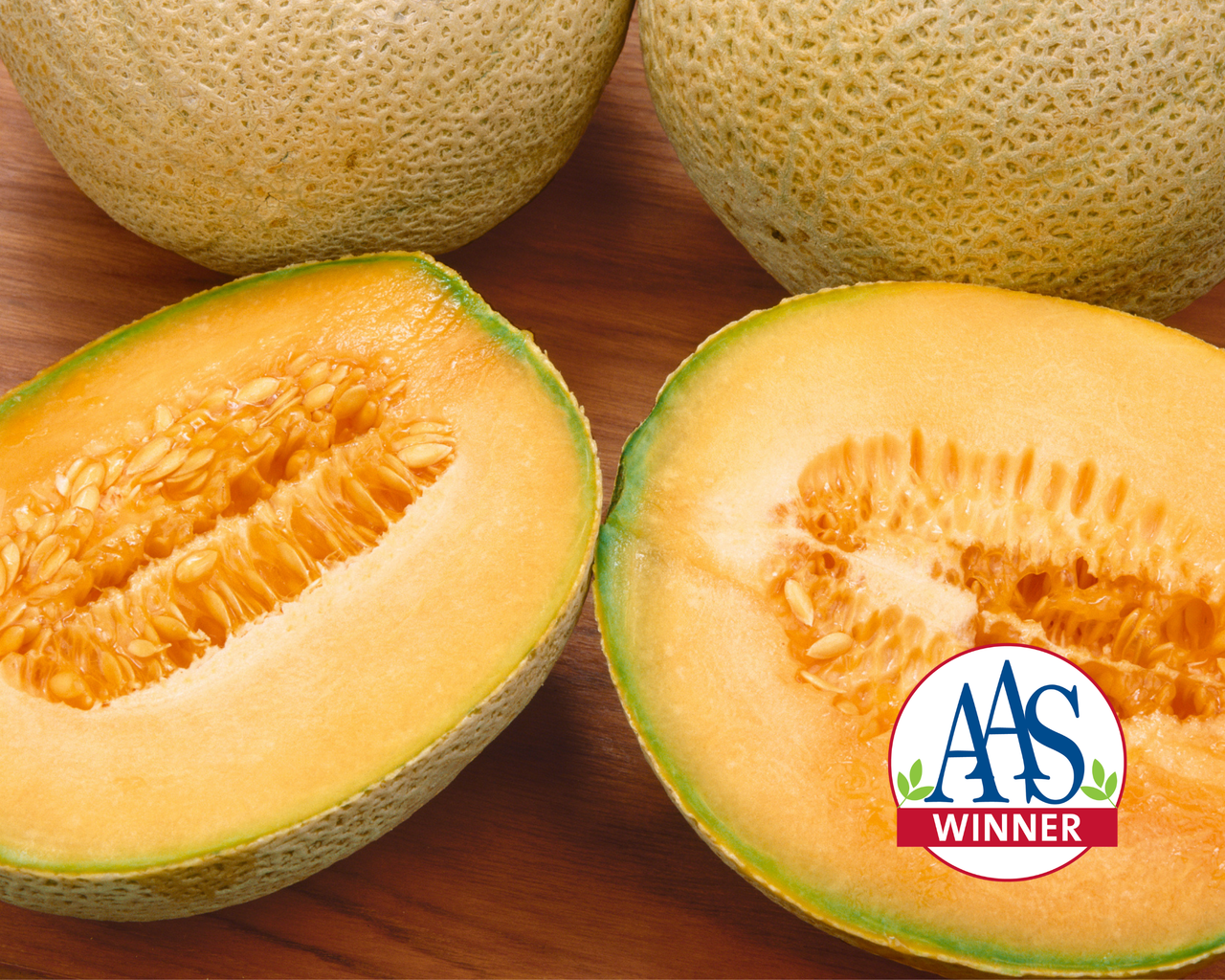 Honey Rock Melon Seeds