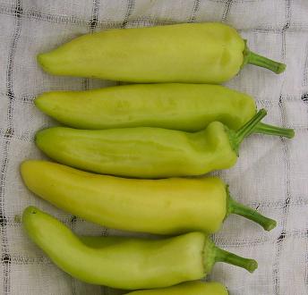 Hot Banana Pepper Seeds - The Pepper Pantry (Formerly Marie Sharp's)