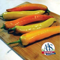 Hot Sunset F1 Pepper Seeds - The Pepper Pantry (Formerly Marie Sharp's)