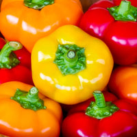 Hungarian Cheese Mix Pepper Seeds - The Pepper Pantry (Formerly Marie Sharp's)