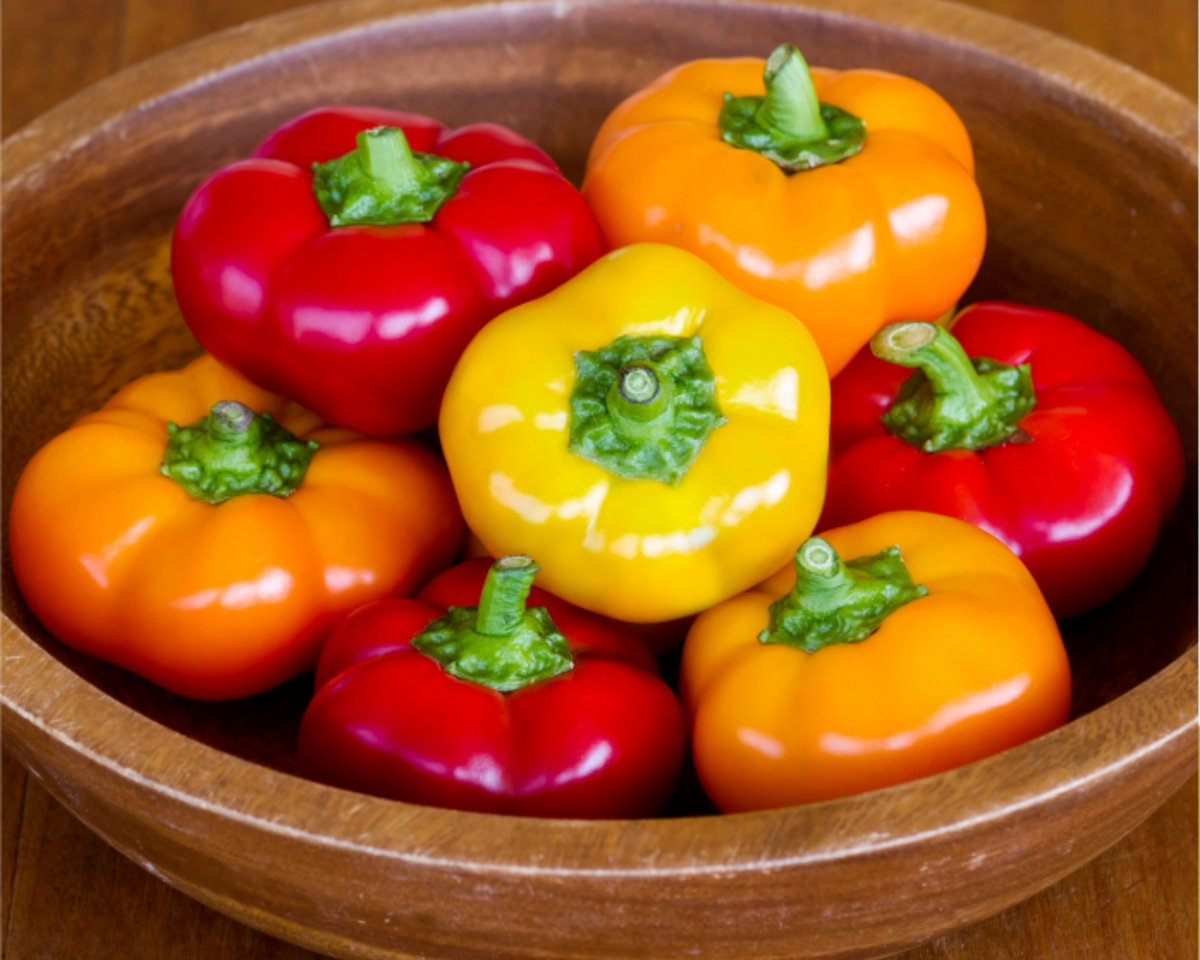 Hungarian Cheese Hybrid Formula Mix Non Bell Pepper Seeds